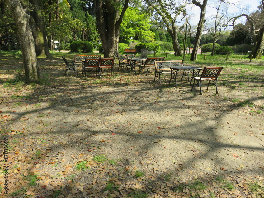 公園の風景 公園の風景