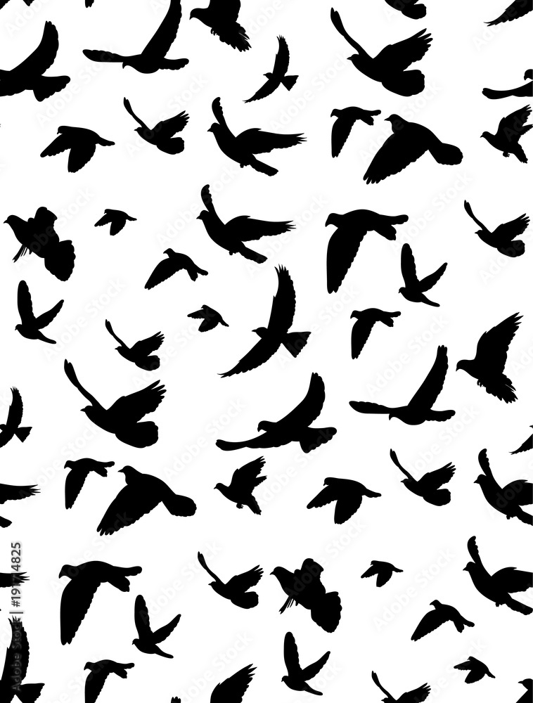 Fototapeta premium seamless background, pattern flying birds, isolated on white background