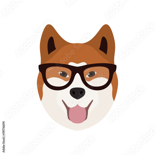 Akito Inu in glasses. Cute dog vector illustration. photo