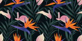 Seamless pattern, tropical plants, Bird of paradise flower, pink Anthurium and palm leaves on black background