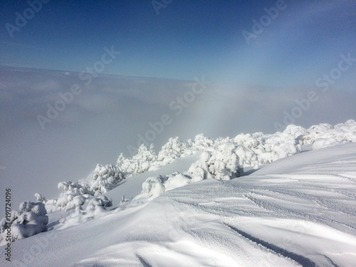 landscape from  the top of the mountain with snowy trees and fog in a sunny day © raffaellagalvani