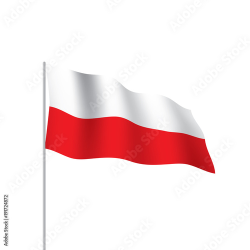 Free Download Poland flag, vector illustration - GFXLoad