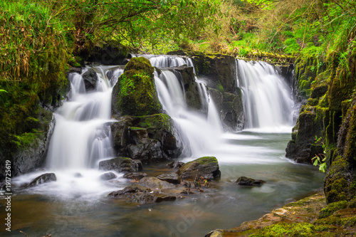 Fototapeta Naklejka Na Ścianę i Meble -  Beautiful cascades of Clare Glens in Ireland