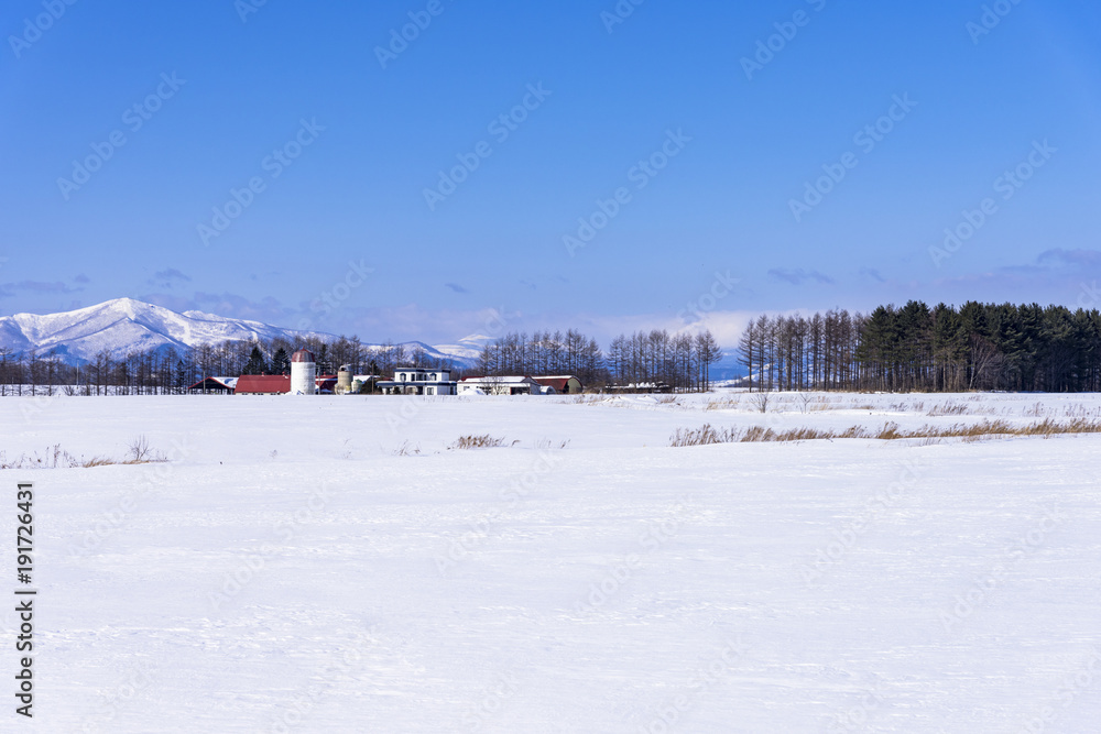 十勝平野の雪景色