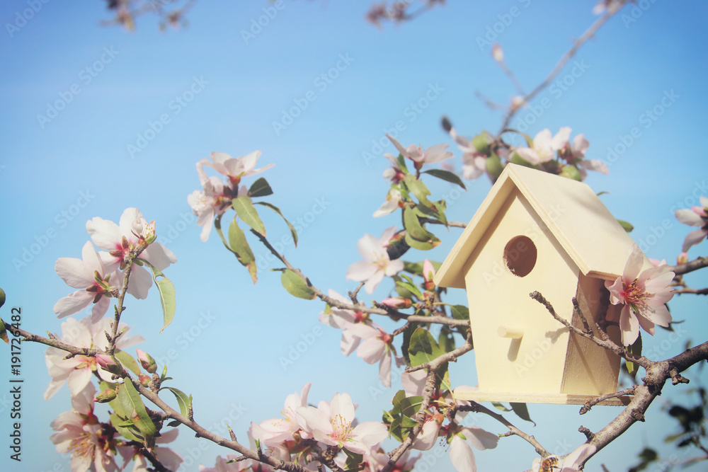 Fototapeta premium Spring cleaning concept with supplies on wooden table.