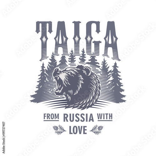 Тайга, медвежья голова на фоне елей, клыки, пасть, Россия, закат, цветной постер, иллюстрация, вектор