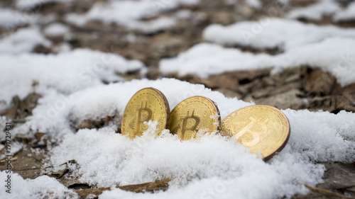 cryptocurrency coins - bitcoin (BTC), litecoin (LTC), ethereum (ETH); digital cryptocurrencys on snow photo