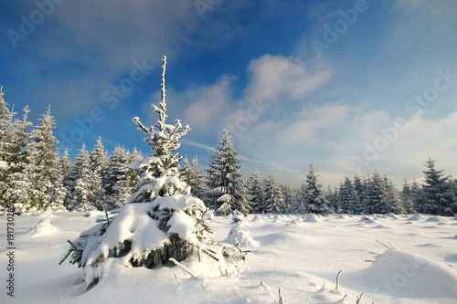 Winter im Mittelgebirge