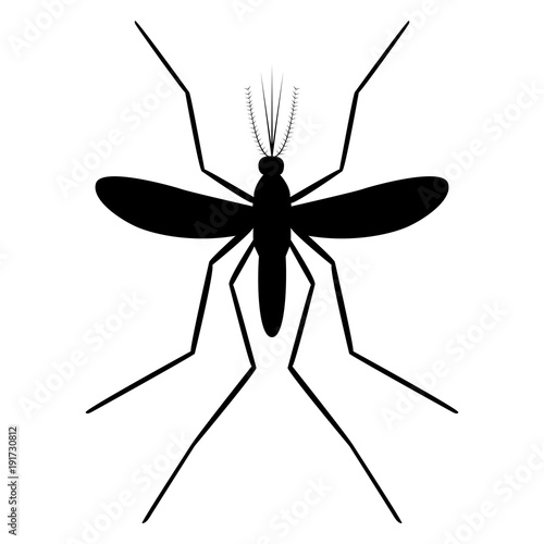 Vector image of a mosquito silhouette on a white background