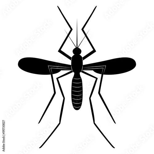Vector image of a mosquito silhouette on a white background
