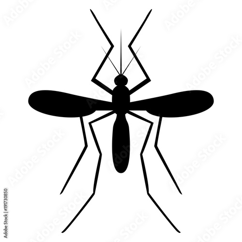 Vector image of a mosquito silhouette on a white background photo