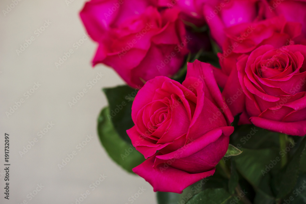 Big bouquet of beautiful dark pink roses on grey background Big bouquet of beautiful dark pink roses on grey background