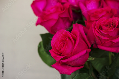 Big bouquet of beautiful dark pink roses on grey background