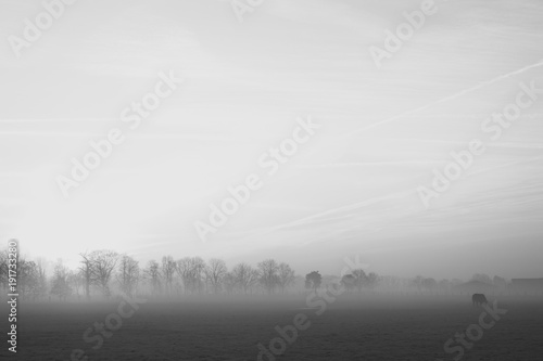 Black and white image of a Lonely tree on a field with a stormy sky over a rural countryside landscape