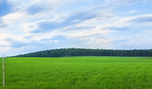 Green field and forest in the distance.