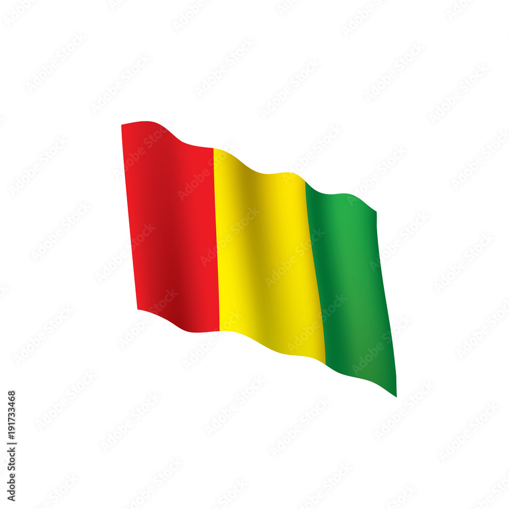 Obraz premium guinea flag, vector illustration
