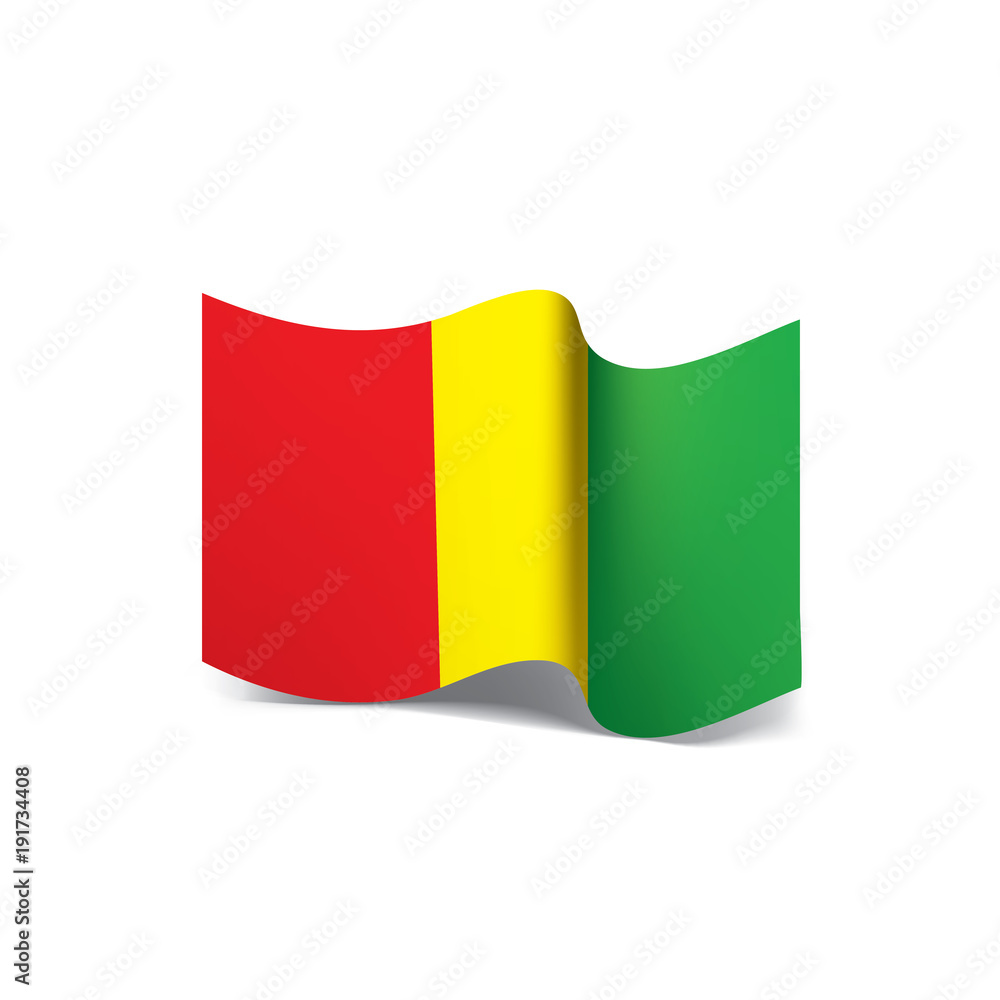 Fototapeta premium guinea flag, vector illustration
