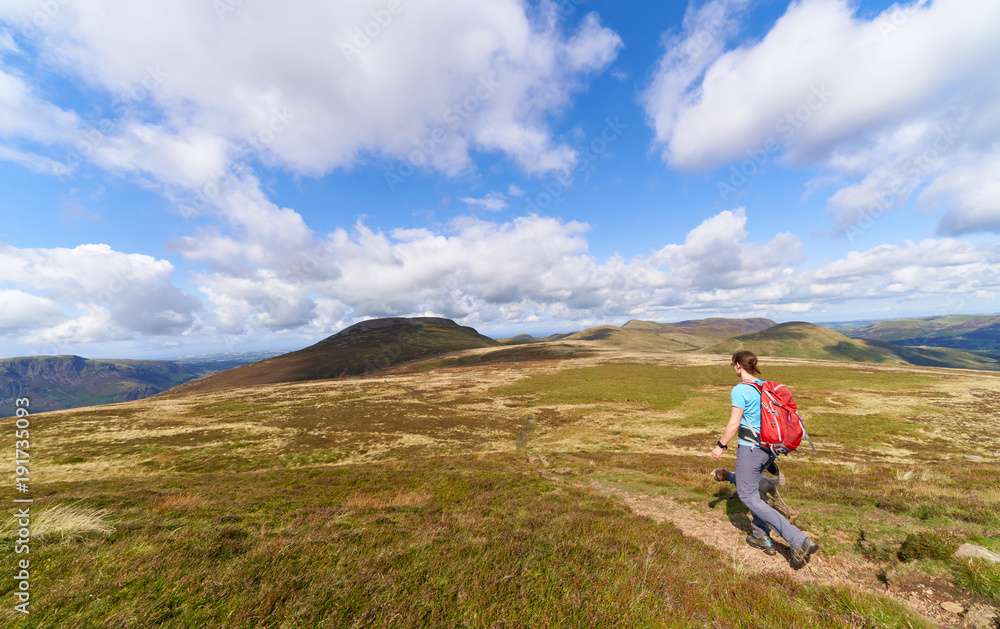 A female hiker walking a narrow trail towards the summit of Great Borne with Starling Dodd behind. The English Lake District, UK.