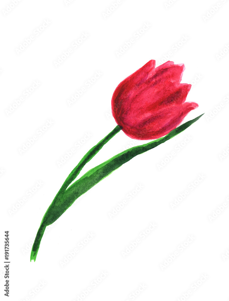 Obraz premium Hand painted element for design. Watercolor flower.