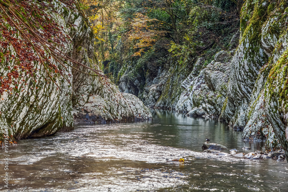 The Khost River in late autumn. Sochi National Park. The Khost River in late autumn. Sochi National Park.