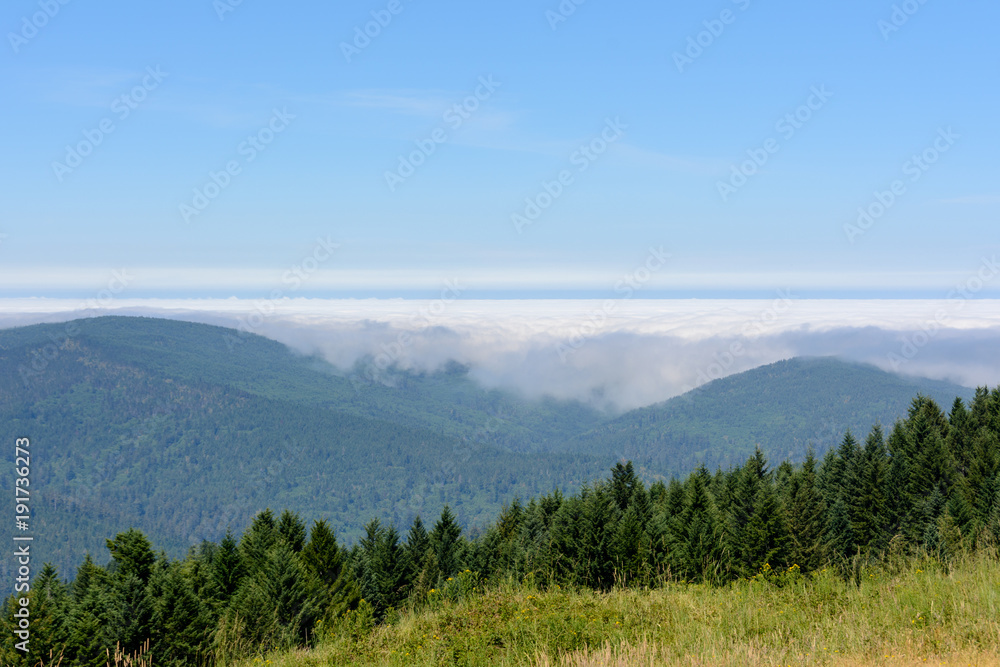 Fog over the forest in the mountains