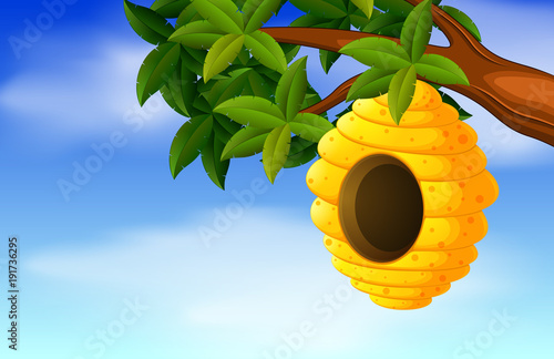 beehive in the garden with scene sky clear