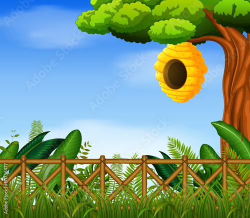 beehive in the garden