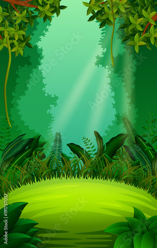 clean and green forest