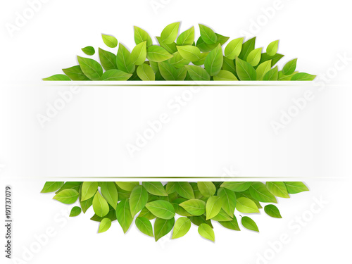 Eco banner with fresh green leaves. Blank with place for text. Realistic vector.