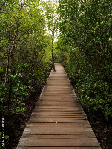 Wide angle detail of a raised walkway along a mangrove forest as a part of a royal development and conservation project. Vertical orientation. Chanthaburi  Thailand. Travel and environment concept.
