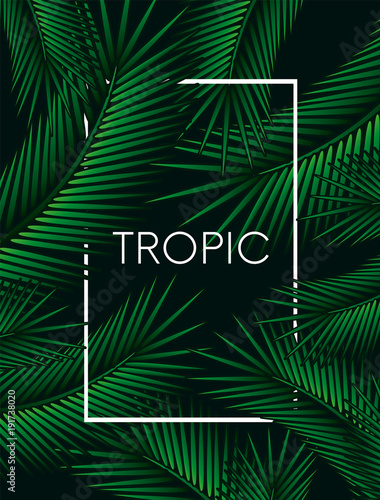Stylish background with palm leaves. Beautiful concept design of a tropical poster, banner, cover or postcard. Vector illustration. Eps 10. Summer.