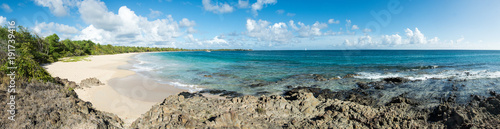 Panorama de la grande anse des Salines - Martinique photo