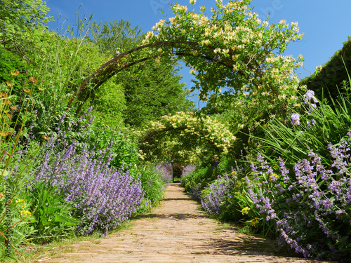 Obraz na płótnie Honeysuckle arches over a garden path on a sunny day in an English country Garden, UK. w salonie