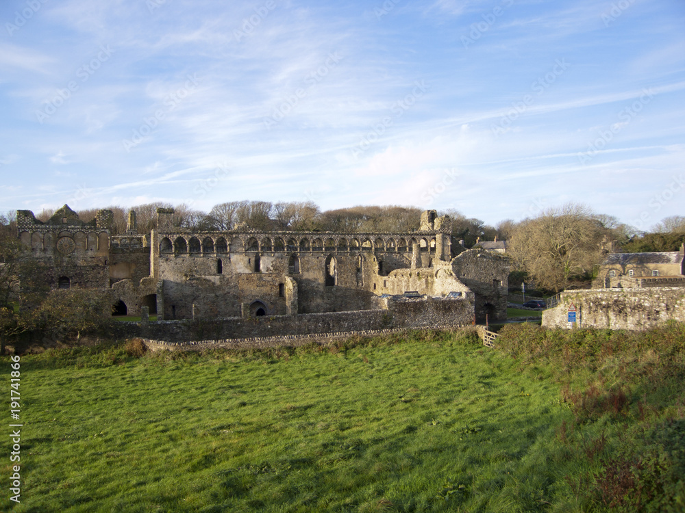 Winter afternoon sunshine on the famous ruins of the medieval Bishops Palace in the UK's smallest city of St Davids, Pembrokeshire, Wales, UK