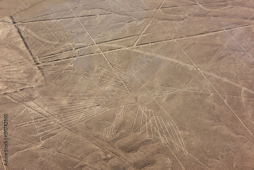 Nazca lines from the aircraft- hummingbird