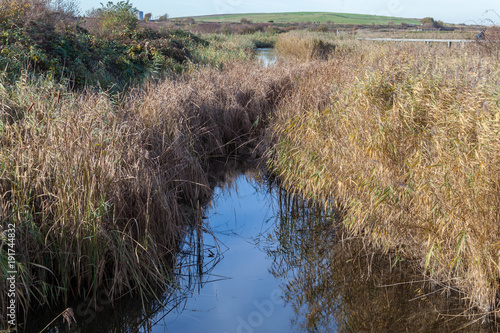 nature reserve in Rainham Marshes with a blue stream and reeds on a sunny day
