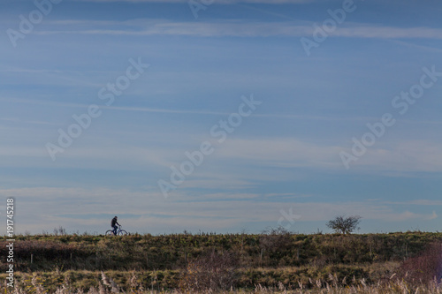 Fototapeta Naklejka Na Ścianę i Meble -  a silhouette of cyclist cycling in Rainham Marshes on a sunny day with blue sky