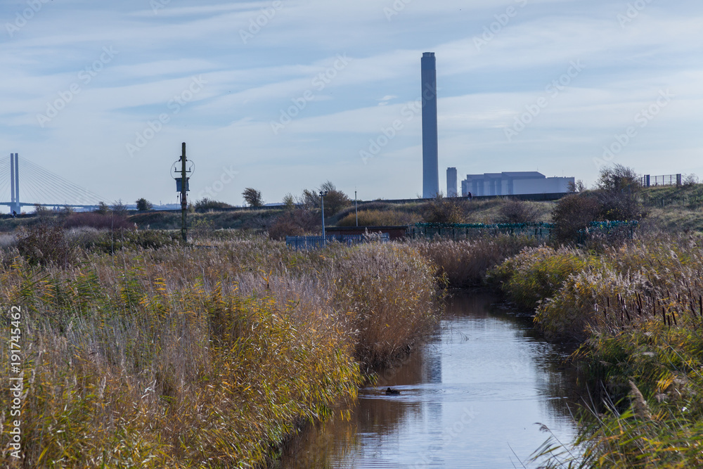 natural reserve in Rainham Marshes near river Thames with factory chimney