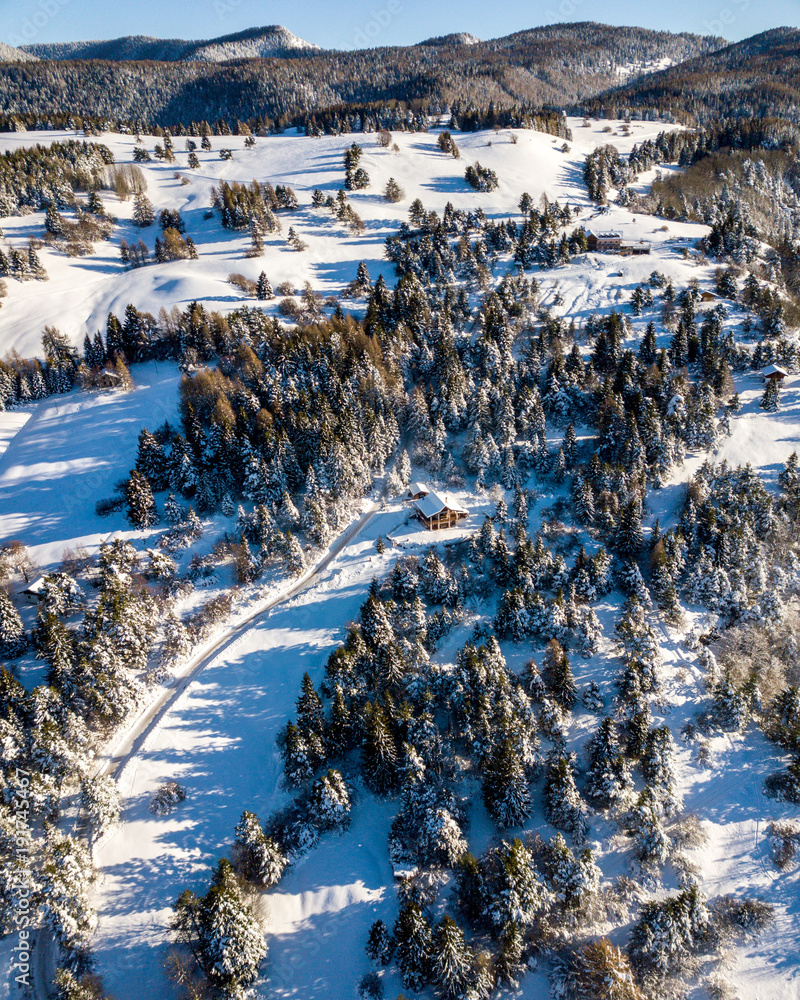 Malga in winter covered in snow from drone