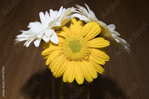 Sunflowers composition in a glass on a wood table photo