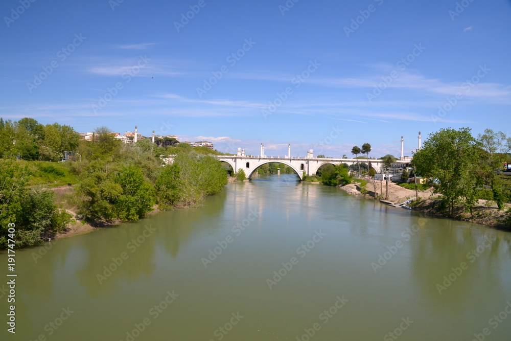 Flaminio bridge on the Tiber river, Rome, Italy. 