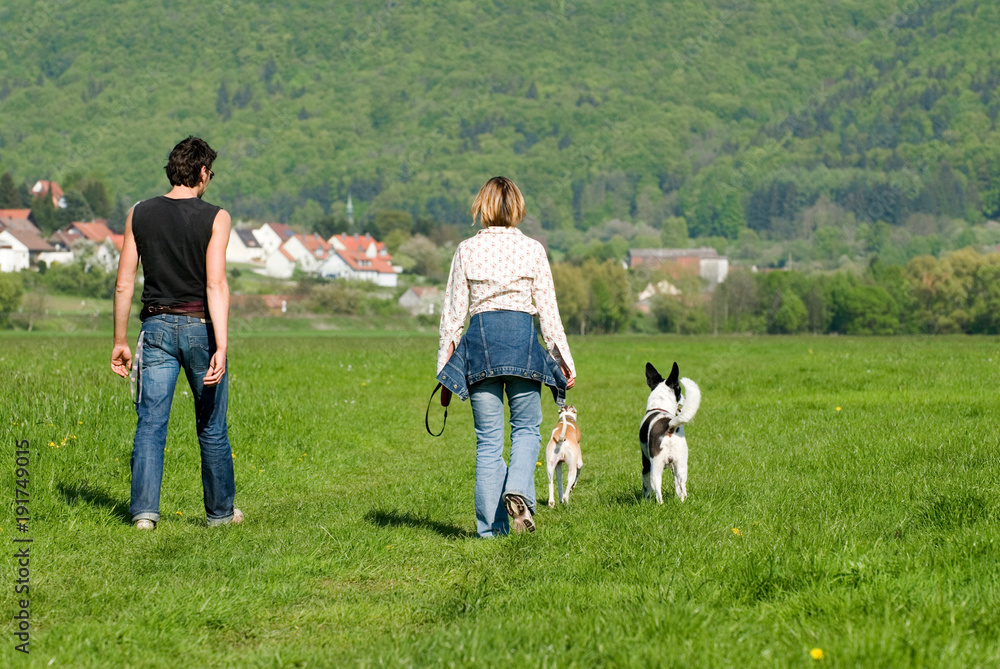 Sommerlicher Spaziergang mit Hunden Sommerlicher Spaziergang mit Hunden