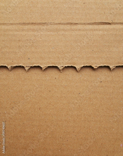 A serrated piece of cardboard on top of another sheet of cardboard as a background with texture photo