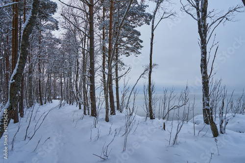 Baltic seacoast in winter