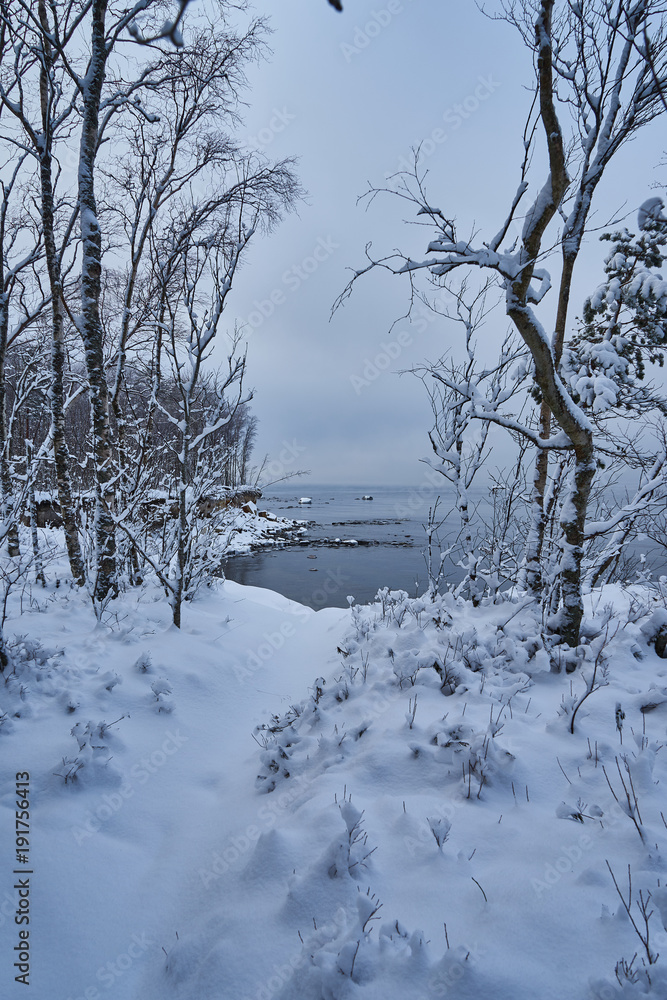 Fototapeta premium Baltic seacoast in winter