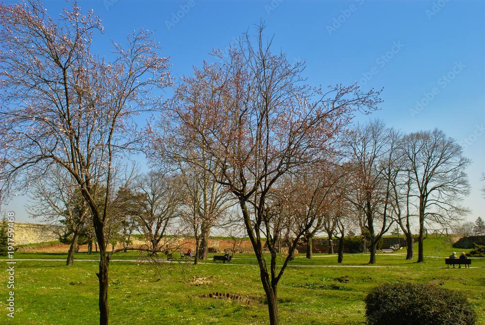 Kalemegdan, Belgrade - Sunny Winter's Day Kalemegdan, Belgrade - Sunny Winter's Day
