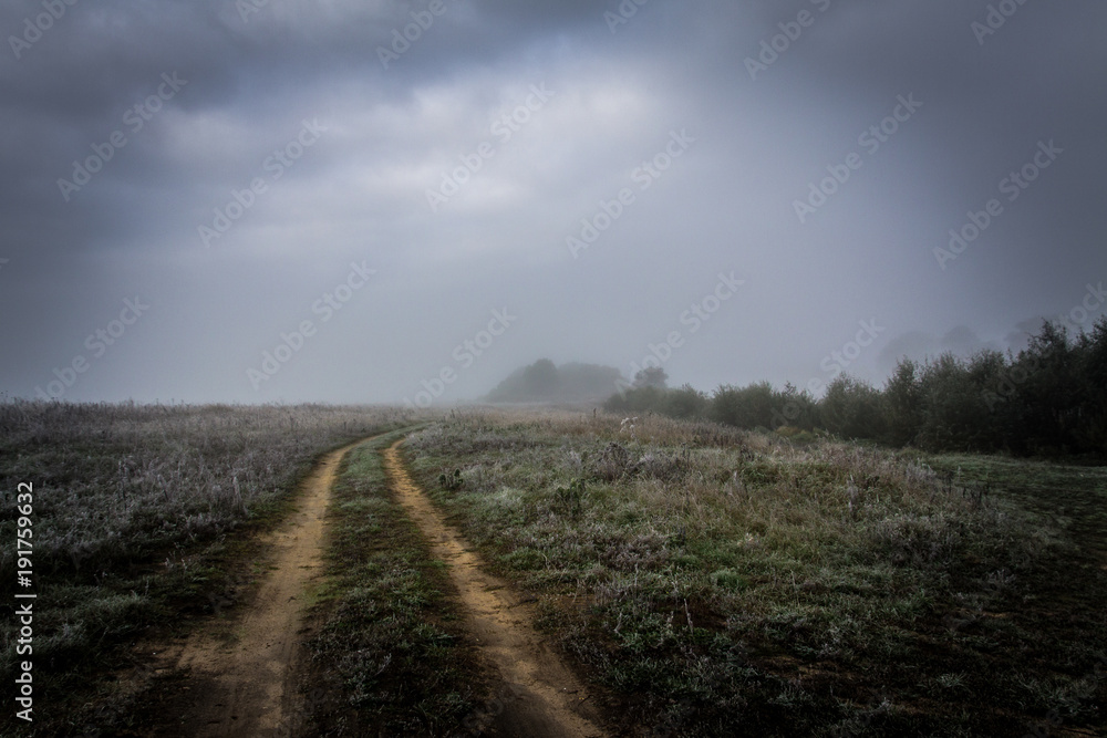 Fototapeta premium Road to fog