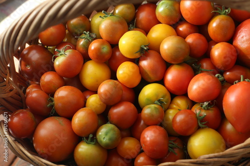 color, tomatoes, basket, vegetarian, organic,tomato
