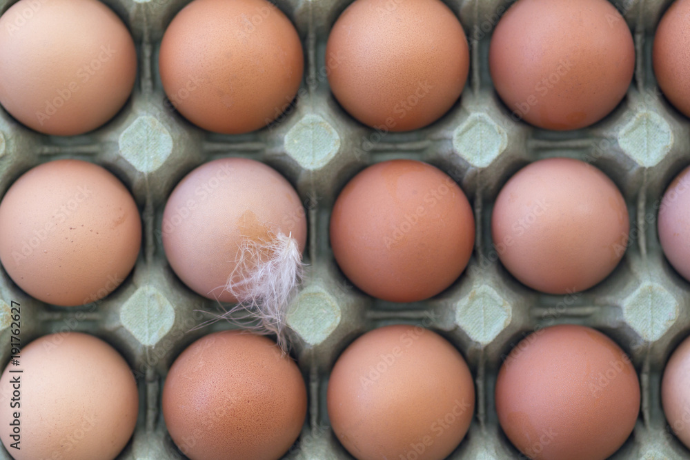 A tray of fresh free range eggs. Shallow depth of field. A tray of fresh free range eggs. Shallow depth of field.