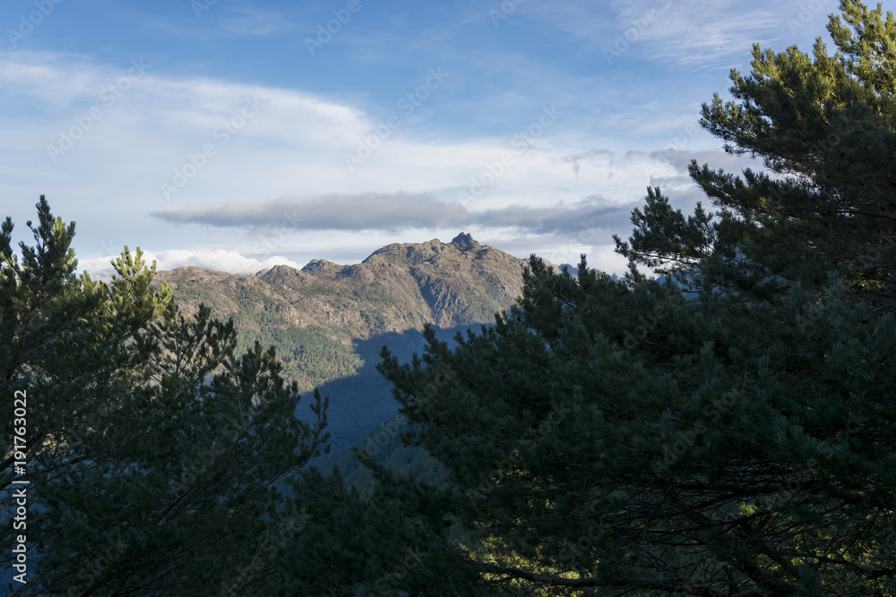 High mountains in the background and pine trees in the foreground. Blue sky with clouds 